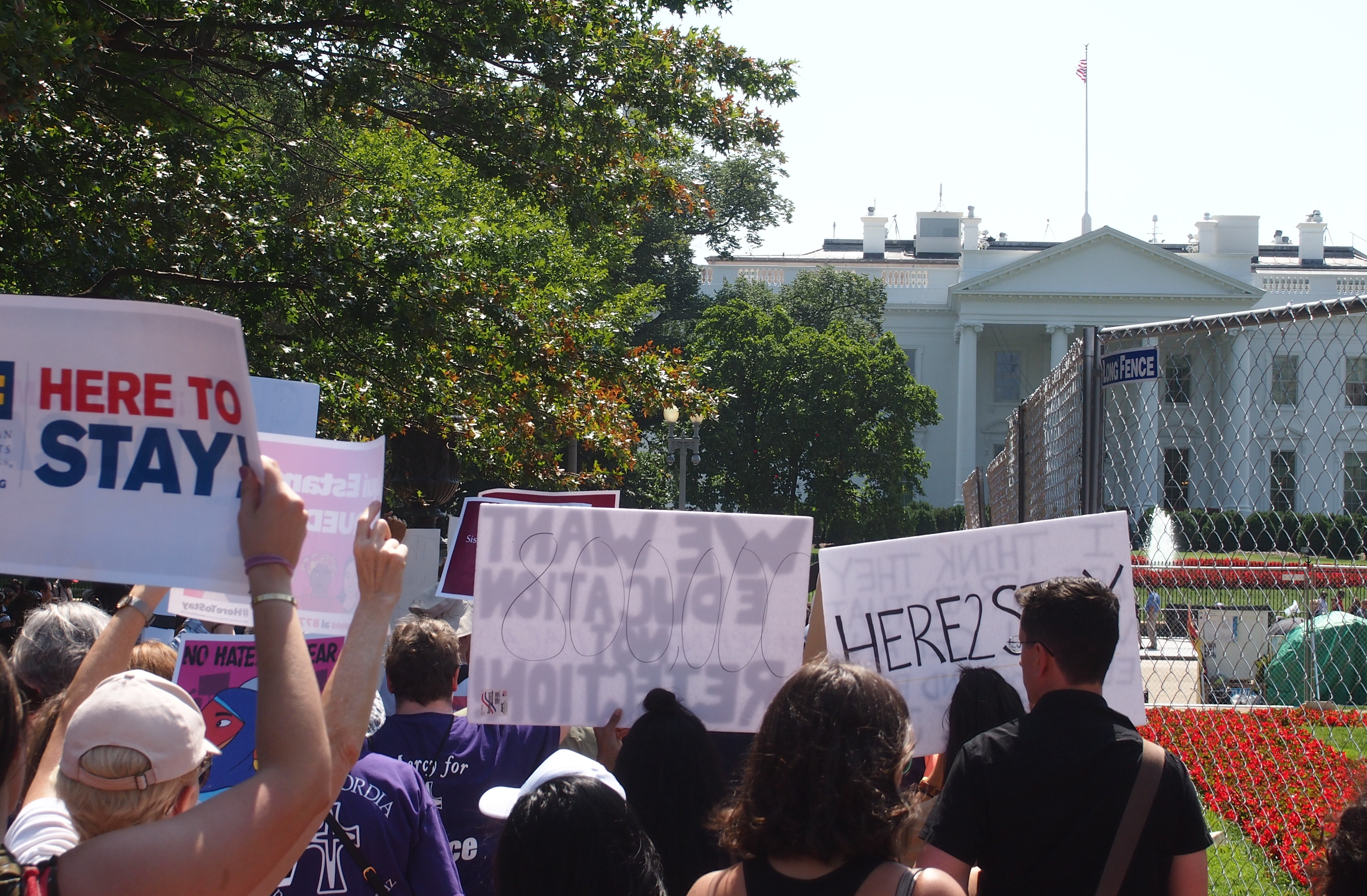 Photo shows protesters outside the White House, Tuesday, Sept. 5, 2017