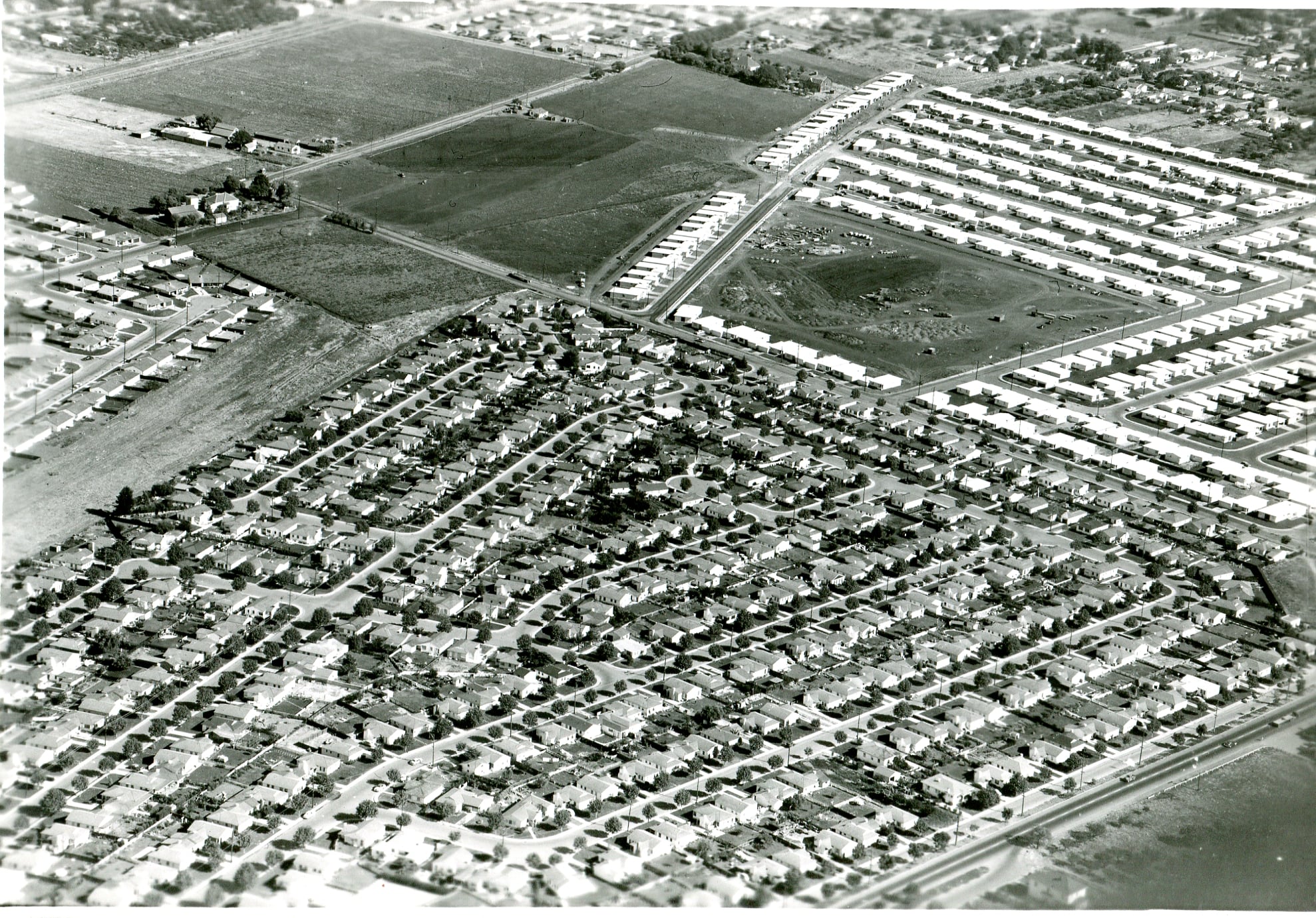 photo: An aerial view of San Lorenzo Village in 1950, which included nearly 1,500 single-family homes. Construction of the white-only subdivision began in 1944, in anticipation of the postwar increase in housing demand. Courtesy of the Hayward Area Historical Society Archives.