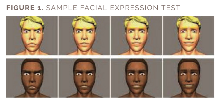Figure 1 includes an image of a sample facial expression test 