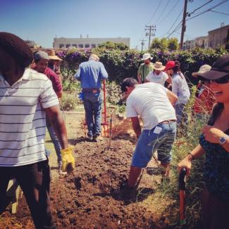 Staff from Urban Tilth participate in an Urban Agroecology course at UC Berkeley, 2015.