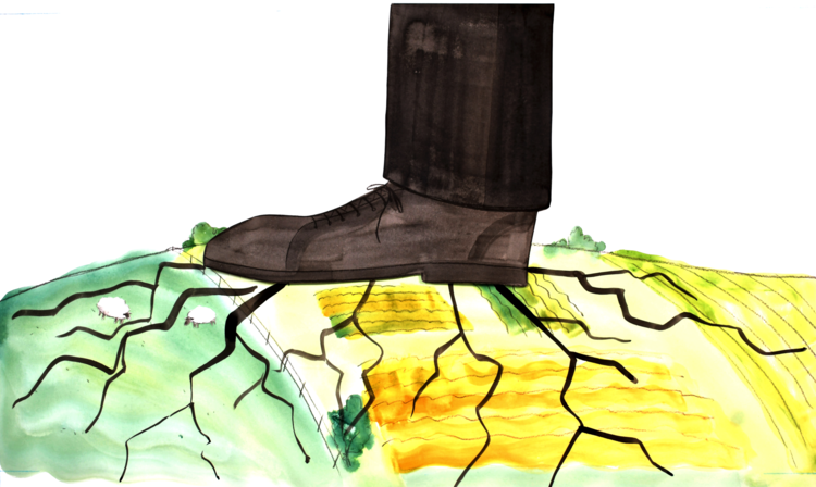 an image grab from the Shahidi project video shows a giant shoe stomping on a small farm